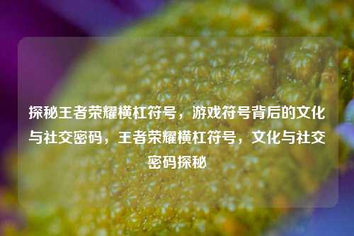 探秘王者荣耀横杠符号，游戏符号背后的文化与社交密码，王者荣耀横杠符号，文化与社交密码探秘