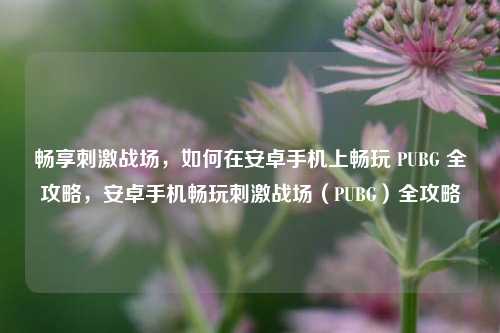 畅享刺激战场，如何在安卓手机上畅玩 PUBG 全攻略，安卓手机畅玩刺激战场（PUBG）全攻略
