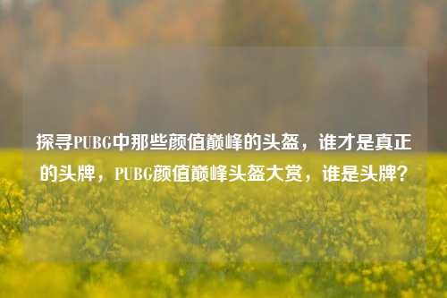 探寻PUBG中那些颜值巅峰的头盔,谁才是真正的头牌,PUBG颜值巅峰头盔大赏,谁是头牌?