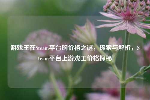 游戏王在Steam平台的价格之谜，探索与解析，Steam平台上游戏王价格探秘