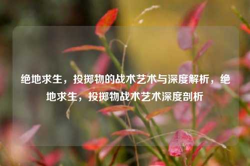 绝地求生，投掷物的战术艺术与深度解析，绝地求生，投掷物战术艺术深度剖析