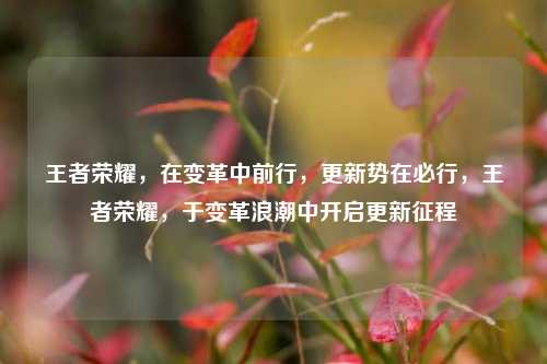 王者荣耀，在变革中前行，更新势在必行，王者荣耀，于变革浪潮中开启更新征程