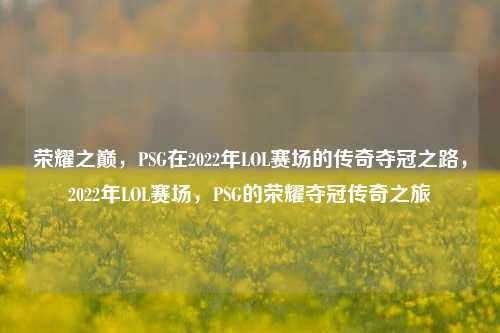 荣耀之巅，PSG在2022年LOL赛场的传奇夺冠之路，2022年LOL赛场，PSG的荣耀夺冠传奇之旅