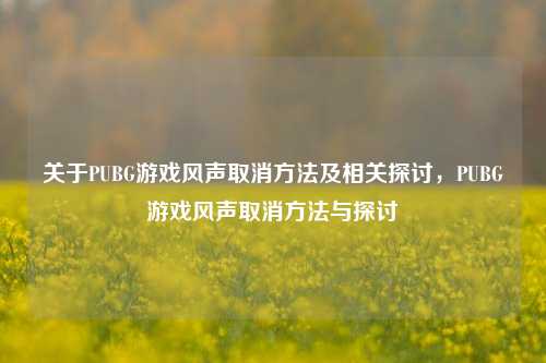 关于PUBG游戏风声取消方法及相关探讨，PUBG游戏风声取消方法与探讨