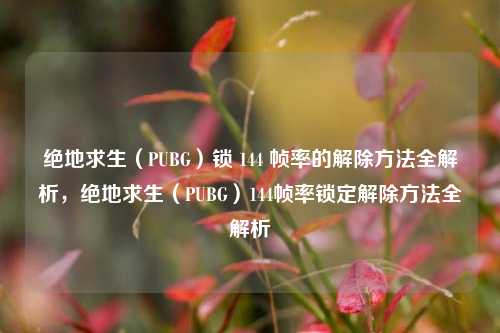 绝地求生（PUBG）锁 144 帧率的解除方法全解析，绝地求生（PUBG）144帧率锁定解除方法全解析