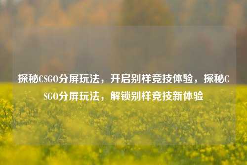 探秘CSGO分屏玩法，开启别样竞技体验，探秘CSGO分屏玩法，解锁别样竞技新体验