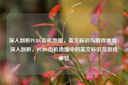 深入剖析PUBG街机地图，英文标识与游戏体验，深入剖析，PUBG街机地图中的英文标识及游戏体验
