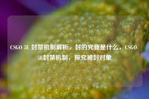 CSGO 5E 封禁机制解析,封的究竟是什么,CSGO 5E封禁机制,探究被封对象