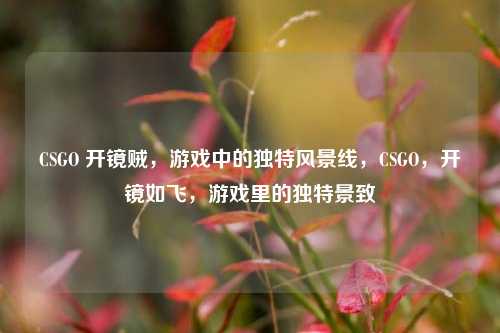 CSGO 开镜贼,游戏中的独特风景线,CSGO,开镜如飞,游戏里的独特景致