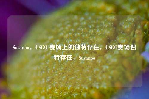 Susanoo，CSGO 赛场上的独特存在，CSGO赛场独特存在，Susanoo