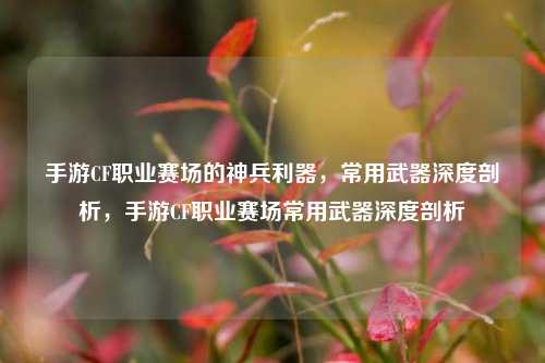 手游CF职业赛场的神兵利器,常用武器深度剖析,手游CF职业赛场常用武器深度剖析