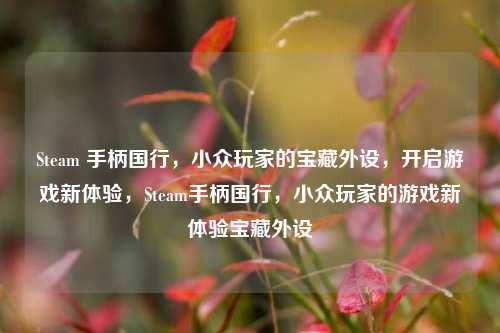 Steam 手柄国行，小众玩家的宝藏外设，开启游戏新体验，Steam手柄国行，小众玩家的游戏新体验宝藏外设