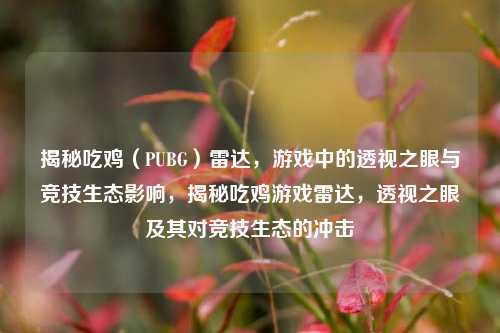 揭秘吃鸡(PUBG)雷达,游戏中的透视之眼与竞技生态影响,揭秘吃鸡游戏雷达,透视之眼及其对竞技生态的冲击