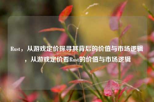 Rust,从游戏定价探寻其背后的价值与市场逻辑,从游戏定价看Rust的价值与市场逻辑