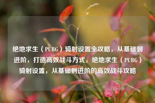 绝地求生(PUBG)骑射设置全攻略,从基础到进阶,打造高效战斗方式,绝地求生(PUBG)骑射设置,从基础到进阶的高效战斗攻略