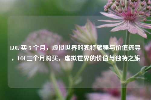 LOL 买 3 个月，虚拟世界的独特旅程与价值探寻，LOL三个月购买，虚拟世界的价值与独特之旅