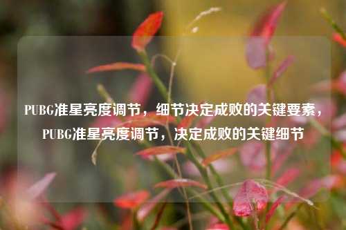 PUBG准星亮度调节,细节决定成败的关键要素,PUBG准星亮度调节,决定成败的关键细节