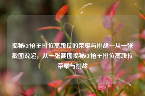 揭秘CF枪王排位高段位的荣耀与挑战—从一张截图说起,从一张截图揭秘CF枪王排位高段位荣耀与挑战