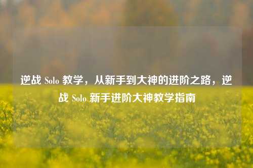 逆战 Solo 教学,从新手到大神的进阶之路,逆战 Solo 新手进阶大神教学指南
