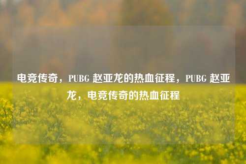 电竞传奇,PUBG 赵亚龙的热血征程,PUBG 赵亚龙,电竞传奇的热血征程