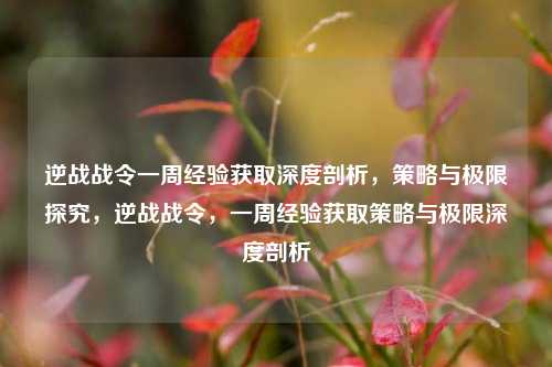 逆战战令一周经验获取深度剖析,策略与极限探究,逆战战令,一周经验获取策略与极限深度剖析