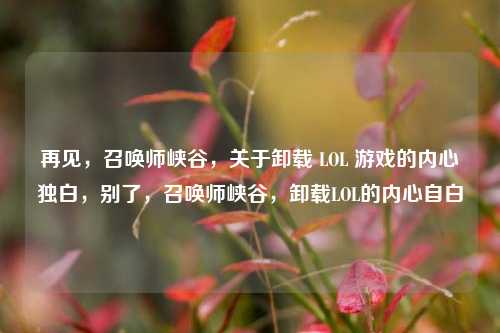 再见，召唤师峡谷，关于卸载 LOL 游戏的内心独白，别了，召唤师峡谷，卸载LOL的内心自白