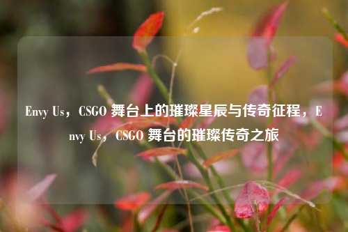 Envy Us，CSGO 舞台上的璀璨星辰与传奇征程，Envy Us，CSGO 舞台的璀璨传奇之旅