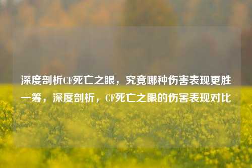 深度剖析CF死亡之眼，究竟哪种伤害表现更胜一筹，深度剖析，CF死亡之眼的伤害表现对比