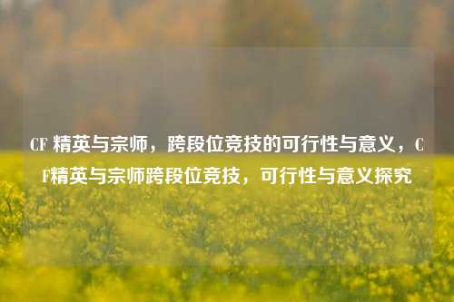 CF 精英与宗师,跨段位竞技的可行性与意义,CF精英与宗师跨段位竞技,可行性与意义探究