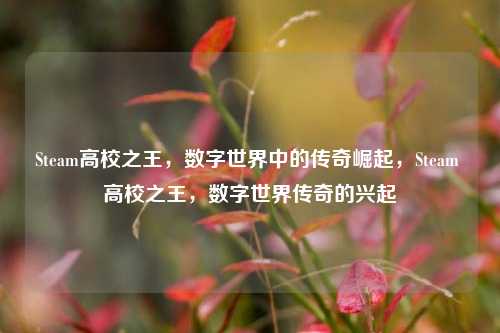 Steam高校之王,数字世界中的传奇崛起,Steam 高校之王,数字世界传奇的兴起