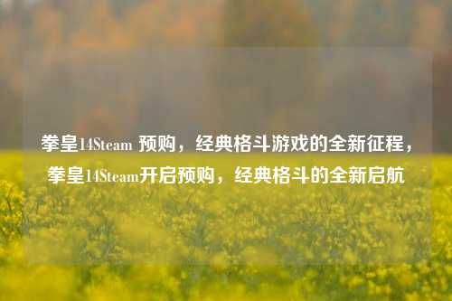 拳皇14Steam 预购，经典格斗游戏的全新征程，拳皇14Steam开启预购，经典格斗的全新启航