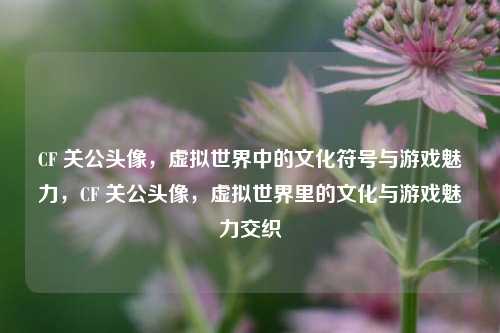 CF 关公头像,虚拟世界中的文化符号与游戏魅力,CF 关公头像,虚拟世界里的文化与游戏魅力交织