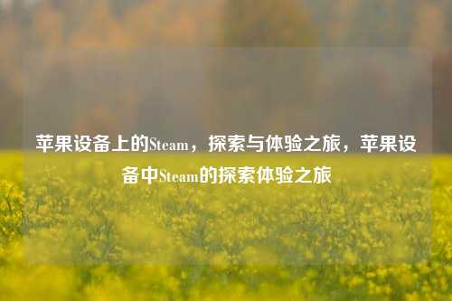 苹果设备上的Steam，探索与体验之旅，苹果设备中Steam的探索体验之旅
