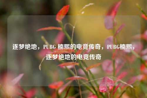 逐梦绝地,PUBG 楠熙的电竞传奇,PUBG楠熙,逐梦绝地的电竞传奇