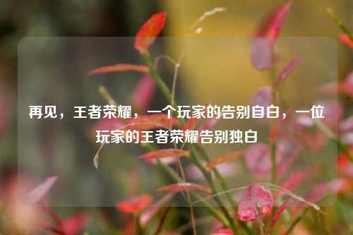 再见,王者荣耀,一个玩家的告别自白,一位玩家的王者荣耀告别独白