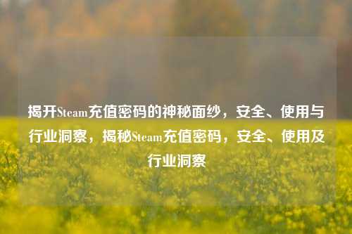 揭开Steam充值密码的神秘面纱,安全、使用与行业洞察,揭秘Steam充值密码,安全、使用及行业洞察
