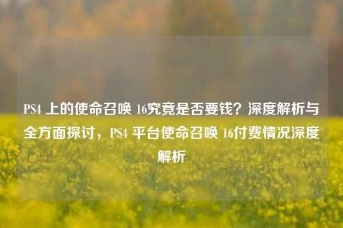 PS4 上的使命召唤 16究竟是否要钱?深度解析与全方面探讨,PS4 平台使命召唤 16付费情况深度解析