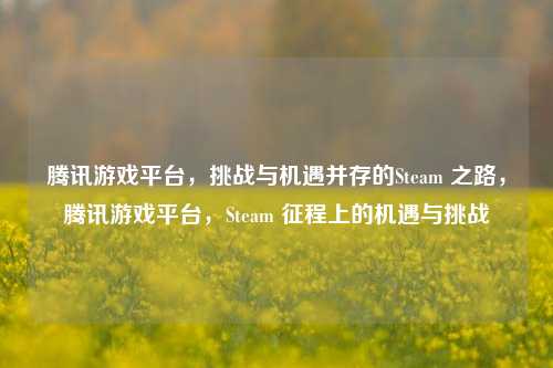 腾讯游戏平台,挑战与机遇并存的Steam 之路,腾讯游戏平台,Steam 征程上的机遇与挑战