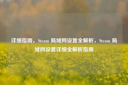 详细指南,Steam 局域网设置全解析,Steam 局域网设置详细全解析指南