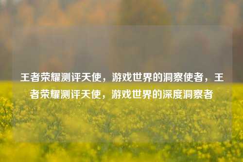王者荣耀测评天使,游戏世界的洞察使者,王者荣耀测评天使,游戏世界的深度洞察者