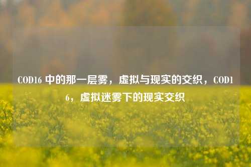 COD16 中的那一层雾，虚拟与现实的交织，COD16，虚拟迷雾下的现实交织