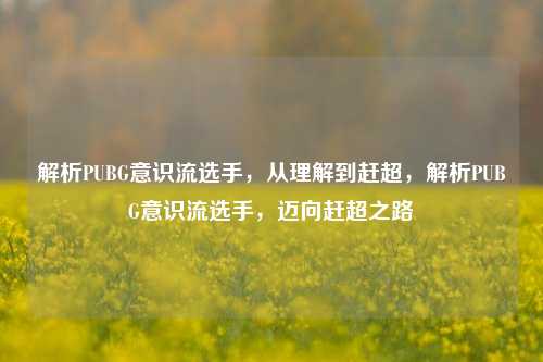 解析PUBG意识流选手,从理解到赶超,解析PUBG意识流选手,迈向赶超之路