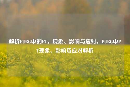 解析PUBG中的PT,现象、影响与应对,PUBG中PT现象、影响及应对解析