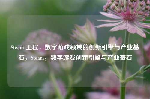 Steam 工程,数字游戏领域的创新引擎与产业基石,Steam,数字游戏创新引擎与产业基石