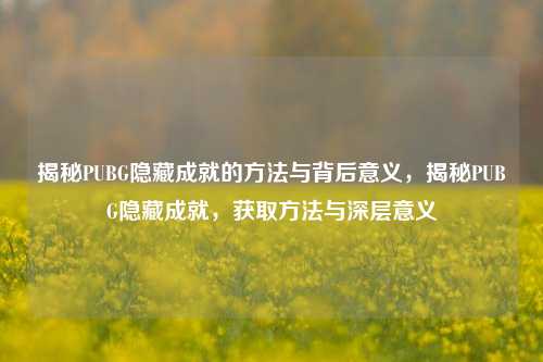 揭秘PUBG隐藏成就的方法与背后意义,揭秘PUBG隐藏成就,获取方法与深层意义