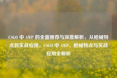 CSGO 中 AWP 的全面推荐与深度解析,从枪械特点到实战应用,CSGO 中 AWP,枪械特点与实战应用全解析