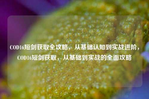 COD16短剑获取全攻略,从基础认知到实战进阶,COD16短剑获取,从基础到实战的全面攻略