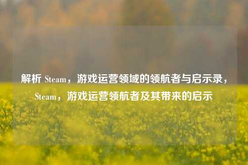 解析 Steam,游戏运营领域的领航者与启示录,Steam,游戏运营领航者及其带来的启示