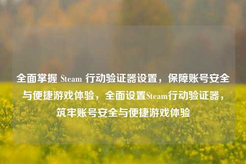 全面掌握 Steam 行动验证器设置，保障账号安全与便捷游戏体验，全面设置Steam行动验证器，筑牢账号安全与便捷游戏体验