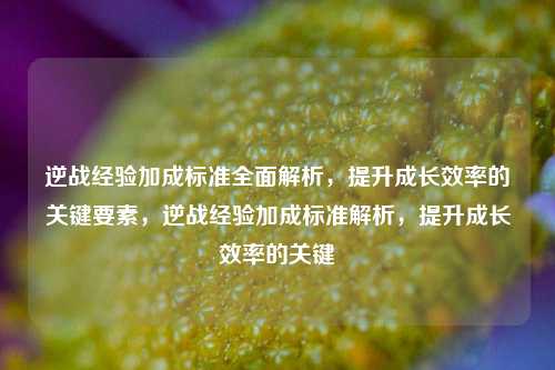 逆战经验加成标准全面解析，提升成长效率的关键要素，逆战经验加成标准解析，提升成长效率的关键